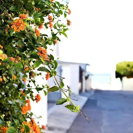 Bilocale Con Balcone A Due Passi Dal Mare - Teresa
